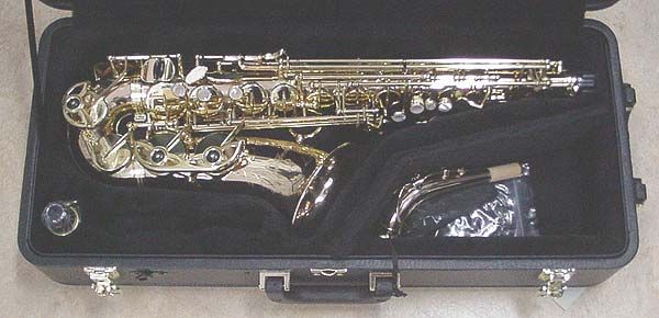 YANAGISAWA ALTO Saxophone   A902 in BRONZE   NEW   Ships FREE 