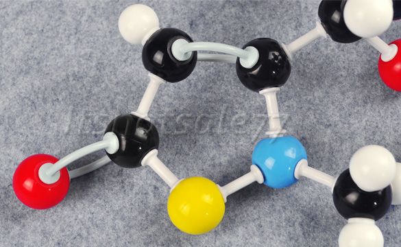 New Organic & Inorganic Chemistry Molecular Model Teach SET KITS XMM 