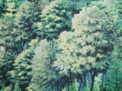 Green Forest Trees Bushes Landscape South Sea Fabric Yd  