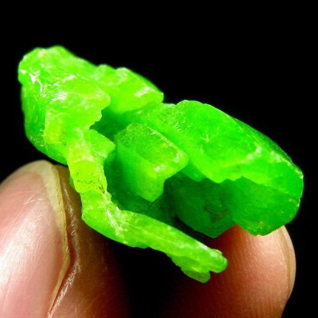 Pyromorphite Single Prism Crystal pygx2ie0240  