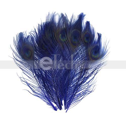 Lot100 Dyed Feather PEACOCK TAILS 10 12 Blue Feathers  