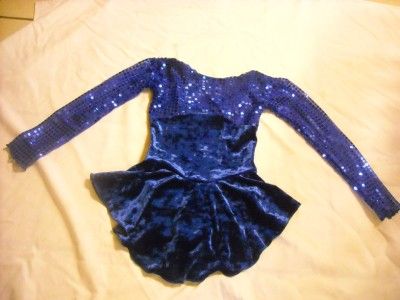 Blue Sparkle and Velvet Dot Ice Skating Dress  