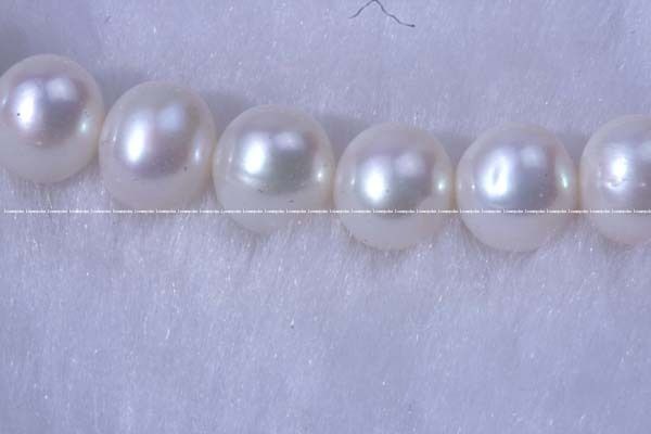 10 strands 7.5mm white round freshwater pearl beads  