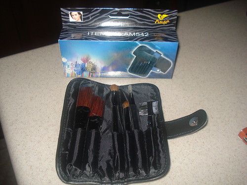 Professional Make up Brush 6 pc  