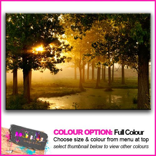 PREMIUM NEW   Landscape Forest   10 COLOURS / SIZES  