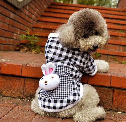 description black and white check dog coat one big pocket