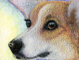 Welsh Corgi dog puppy S Alison ACEO print Missing You  
