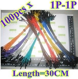 100pcs Dupont Line 1P 1P 2.54cm Length=30CM AWG26  