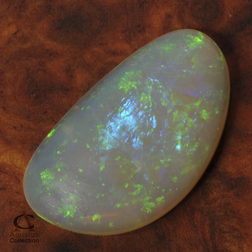 Gemstones Opal Australia Fossil by Agustus Collection