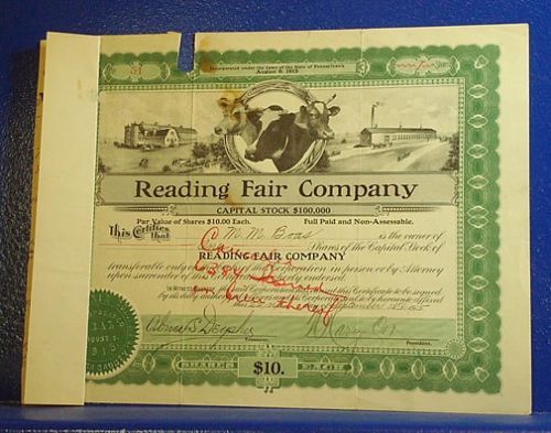 1915 READING FAIR COMPANY Stock Certificate  