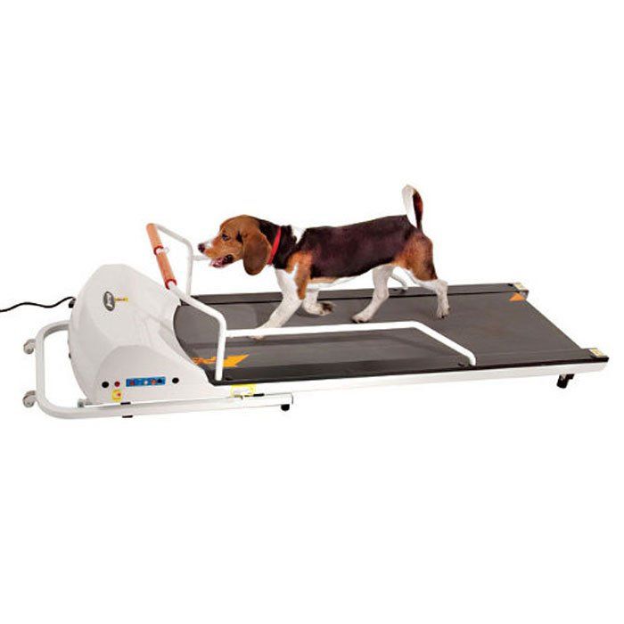 PET RUN PROFESSIONAL DOG TREADMILL by GO PET upto132lb  