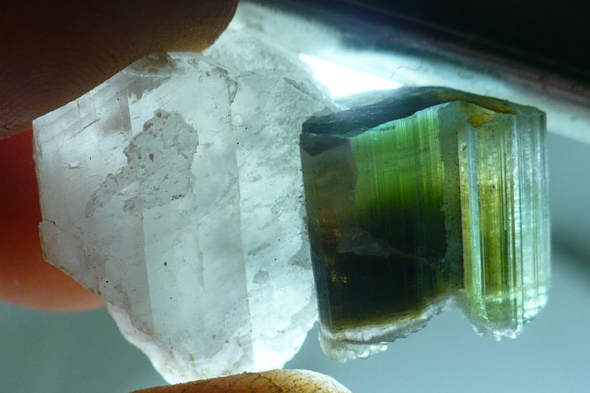 ELBAITE TOURMALINE CRYSTAL ON QUARTZ STAK NALA PAKISTAN  