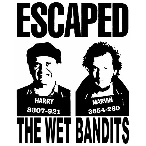 HOME ALONE THE WET BANDITS CLASSIC MOVIE FUNNY T SHIRT  